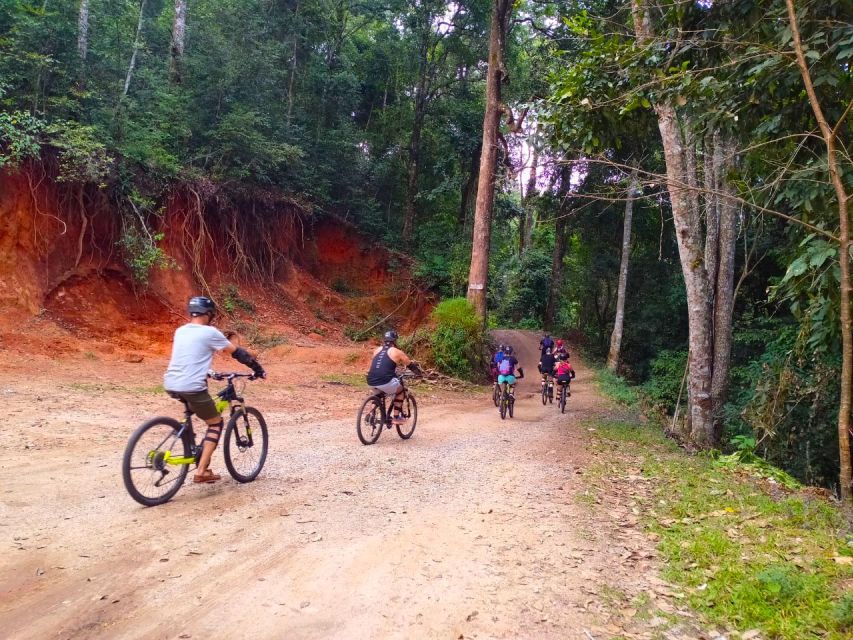 Doi Suthep National Park: Beginner Downhill Bike Ride