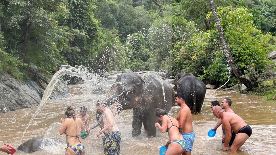 Chiang Mai: Elephant Sanctuary & Waterfall Group Tour